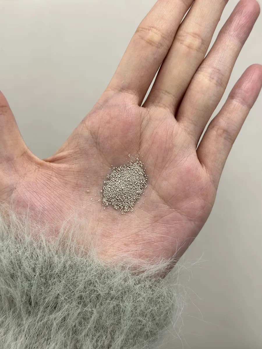 Customer photo shared with a review of Dentart™ Deep Cleansing Tooth Powder, Feb 25, 2026